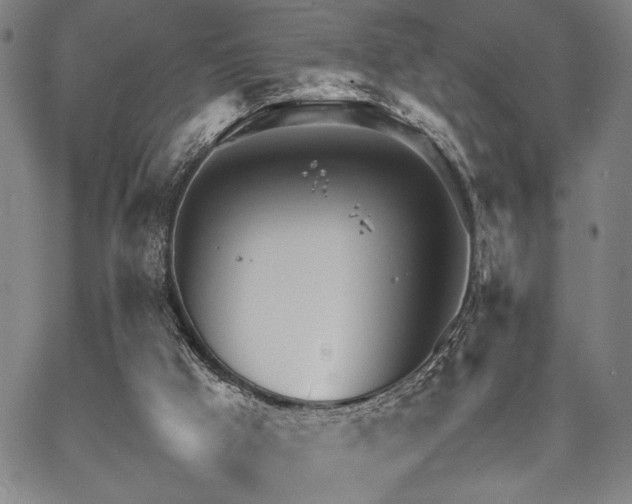 X0000067520009200604071333