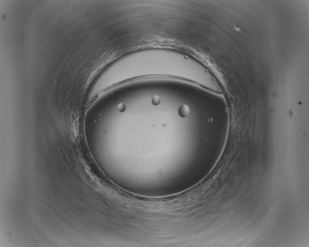 X0000067520010200604071333