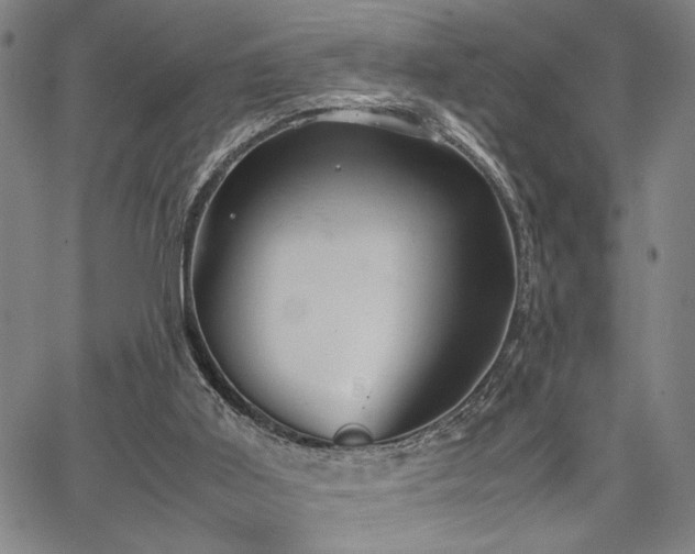 X0000067520011200604071333