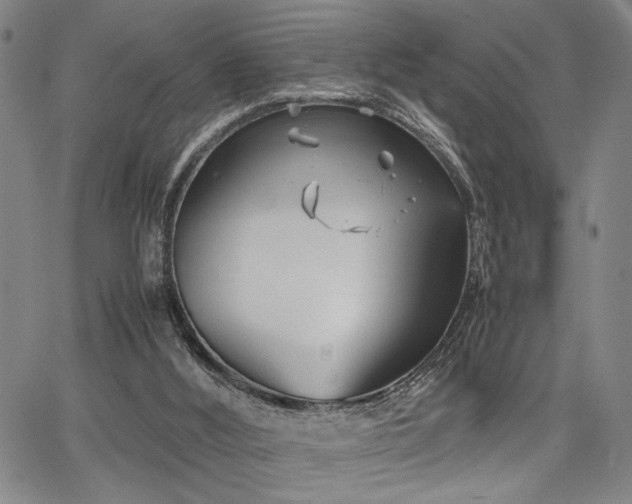 X0000067520012200604071333