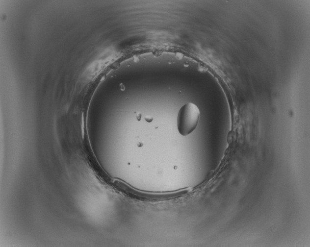 X0000067520013200604071333