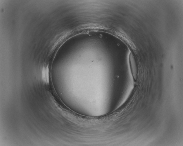 X0000067520014200604071333