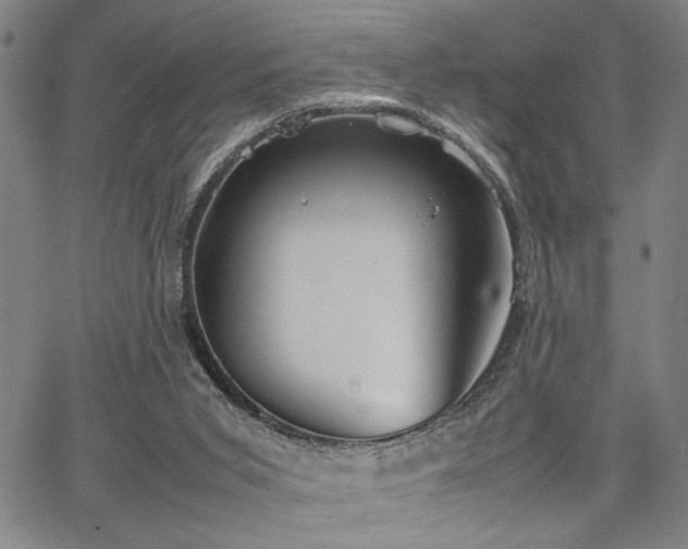 X0000067520015200604071333