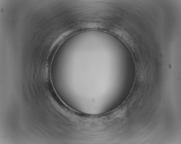 X0000067520016200604071333