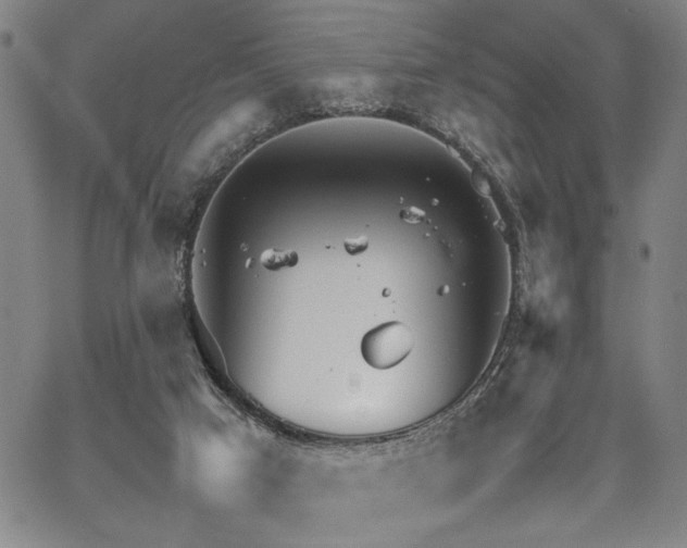 X0000067520017200604071333