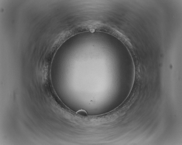 X0000067520018200604071333