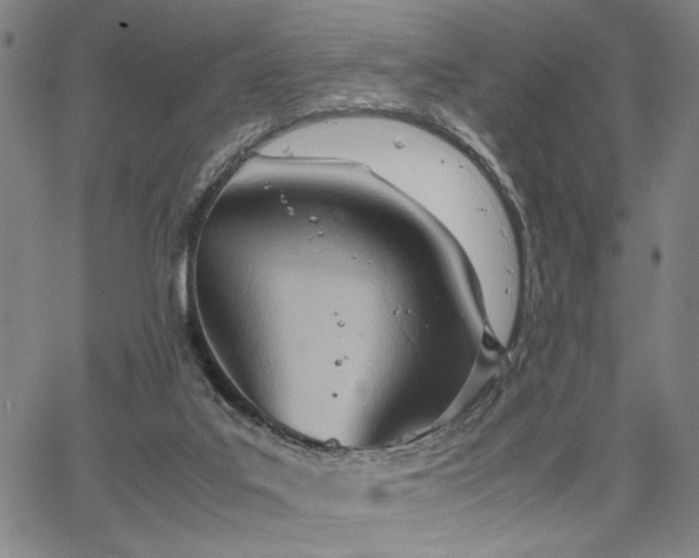 X0000067520019200604071333