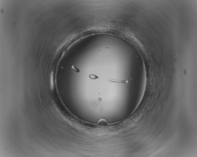 X0000067520020200604071333