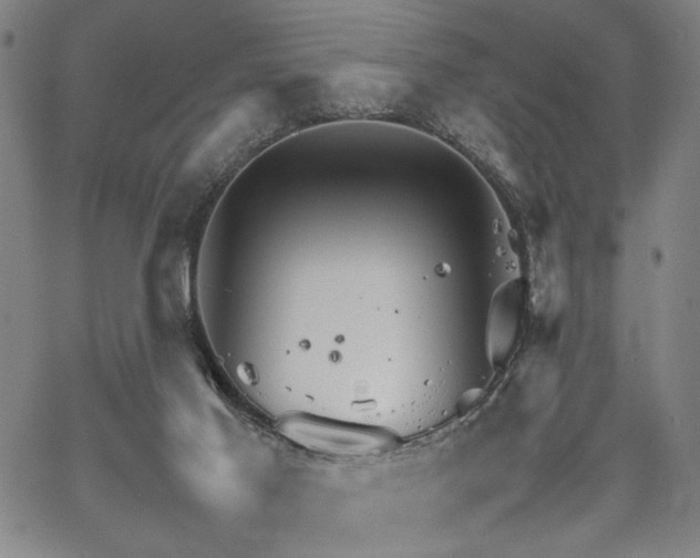 X0000067520021200604071333