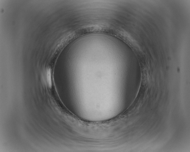 X0000067520022200604071333