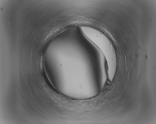 X0000067520023200604071332