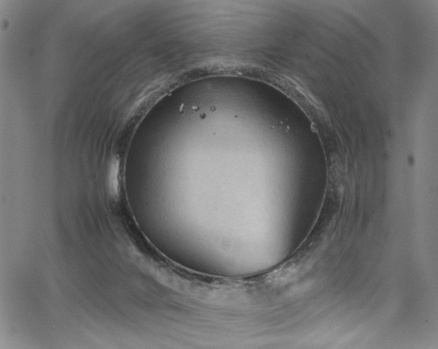 X0000067520024200604071332