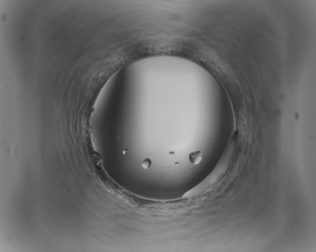 X0000067520025200604071332