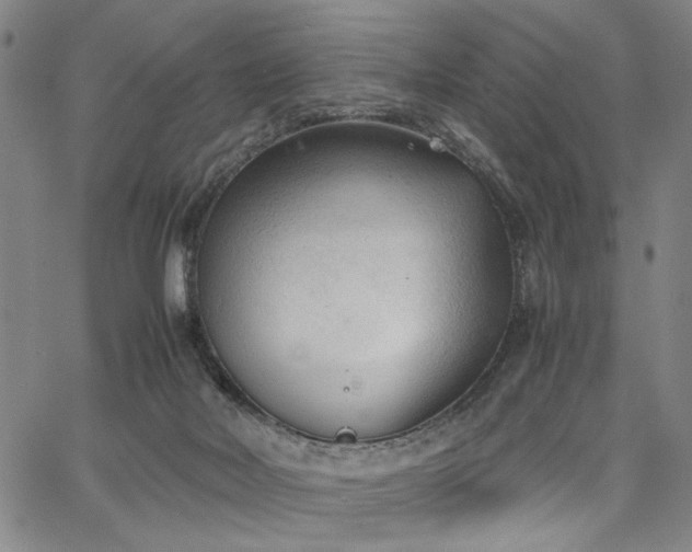 X0000067520026200604071332