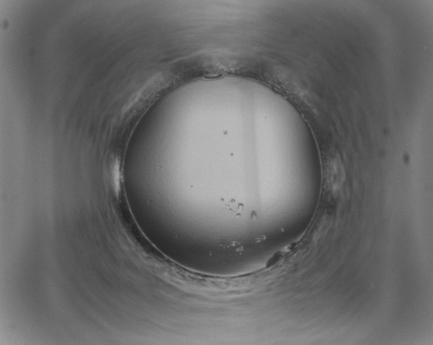 X0000067520027200604071332