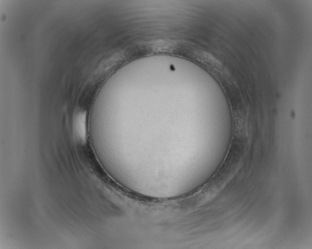 X0000067520028200604071332