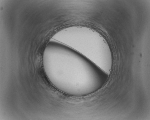 X0000067520029200604071332