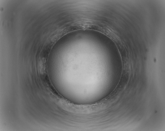 X0000067520030200604071332