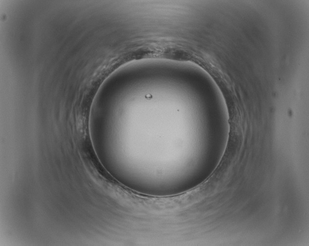 X0000067520031200604071332