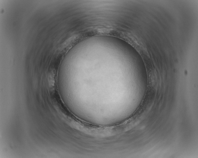 X0000067520032200604071332