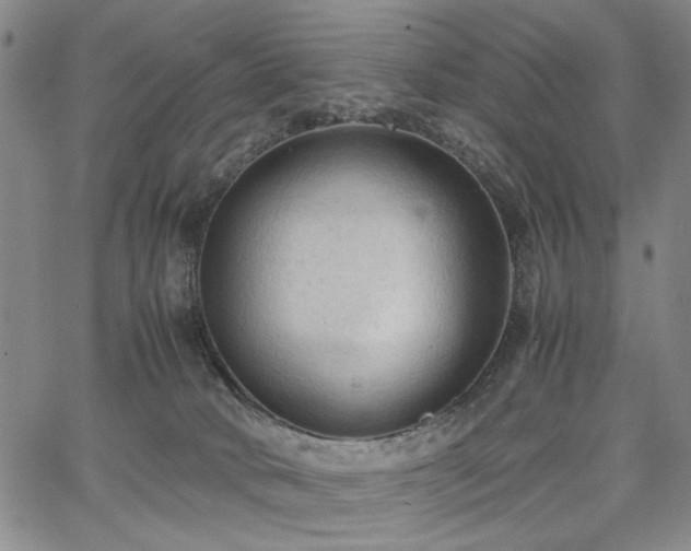 X0000067520034200604071332