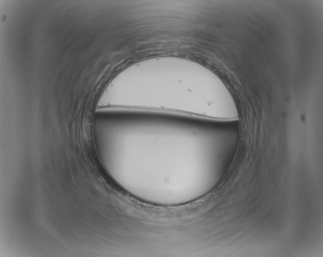 X0000067520035200604071332