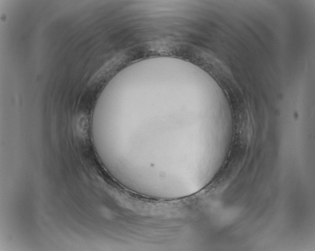 X0000067520036200604071332