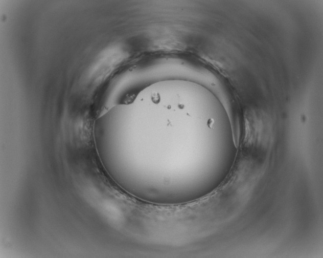 X0000067520037200604071332