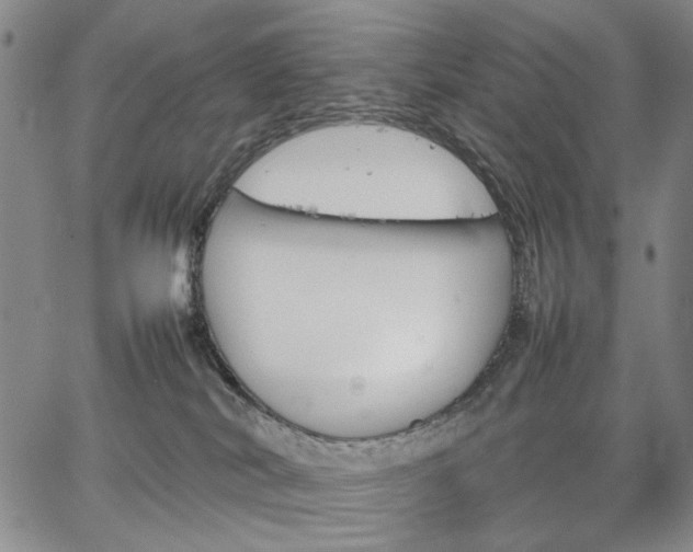 X0000067520038200604071332