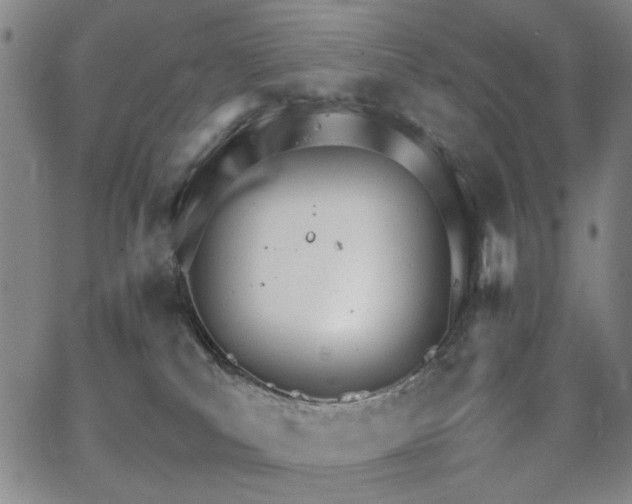 X0000067520039200604071332