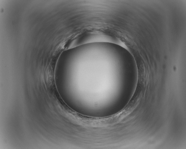 X0000067520040200604071332