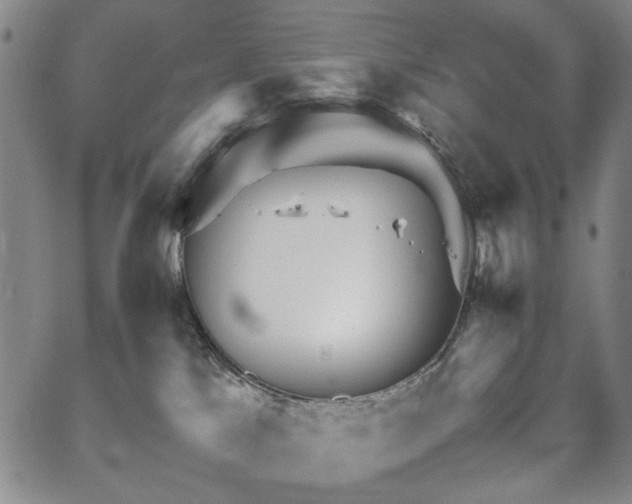 X0000067520041200604071332