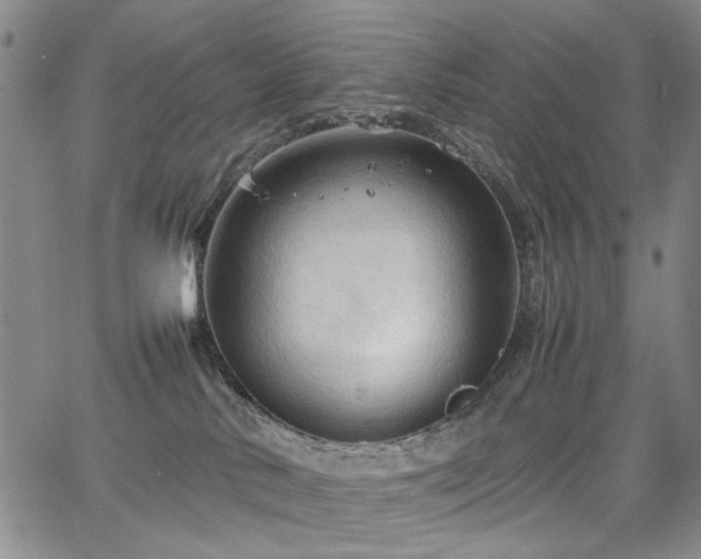 X0000067520042200604071332