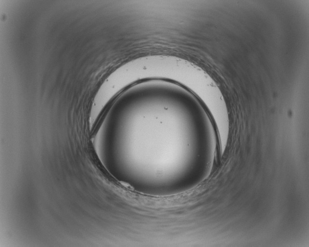 X0000067520043200604071332