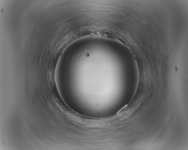 X0000067520044200604071332