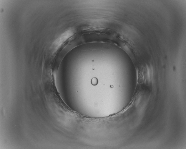 X0000067520045200604071332