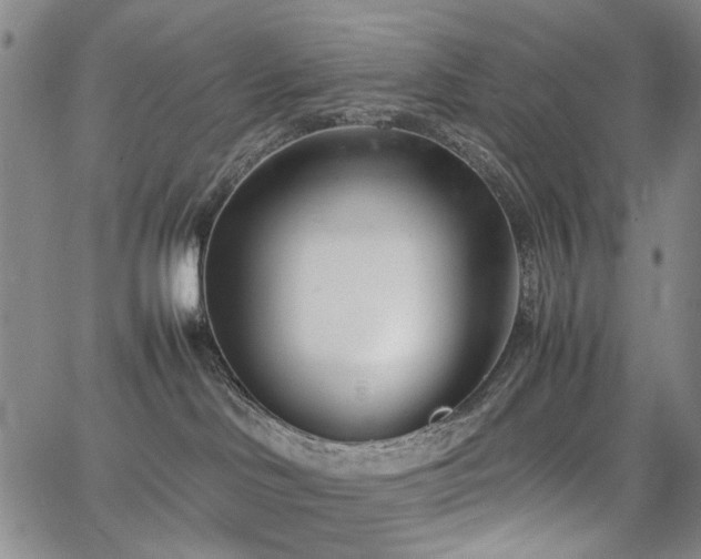 X0000067520046200604071332