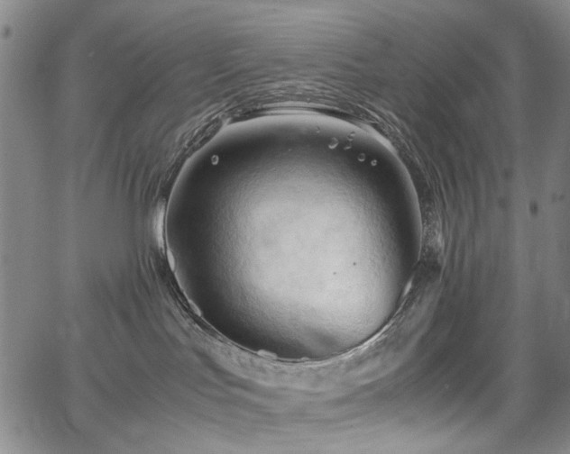 X0000067520047200604071332