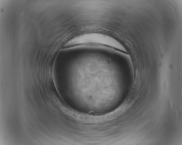 X0000067520048200604071332