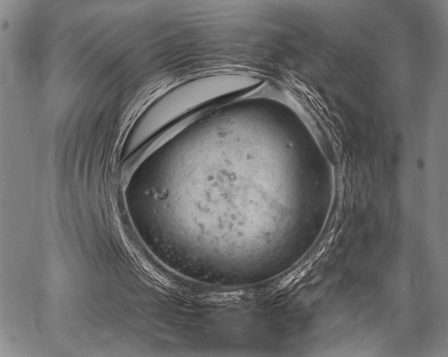 X0000067520049200604071331