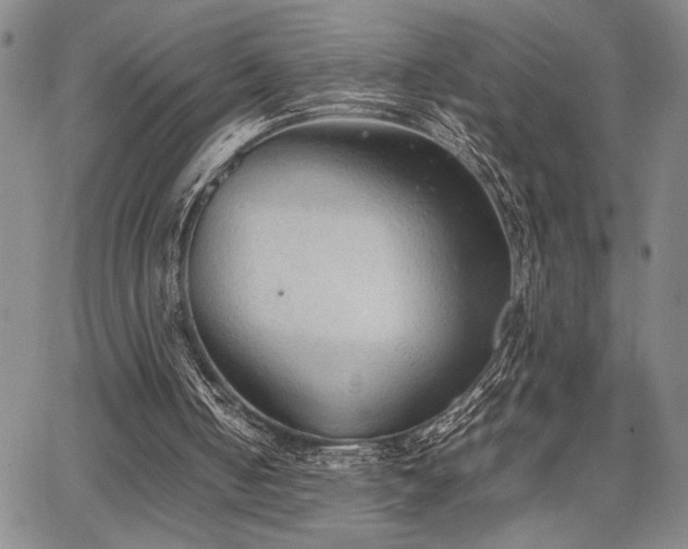 X0000067520050200604071331