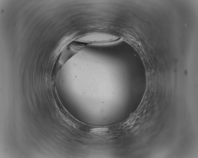 X0000067520051200604071331