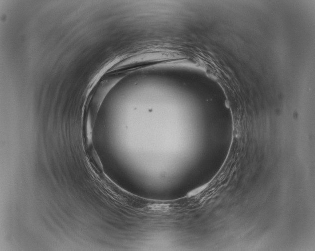 X0000067520052200604071331