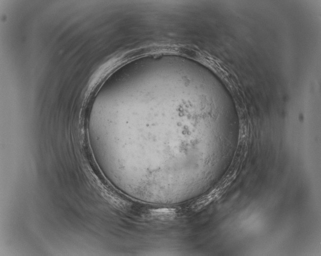 X0000067520053200604071331