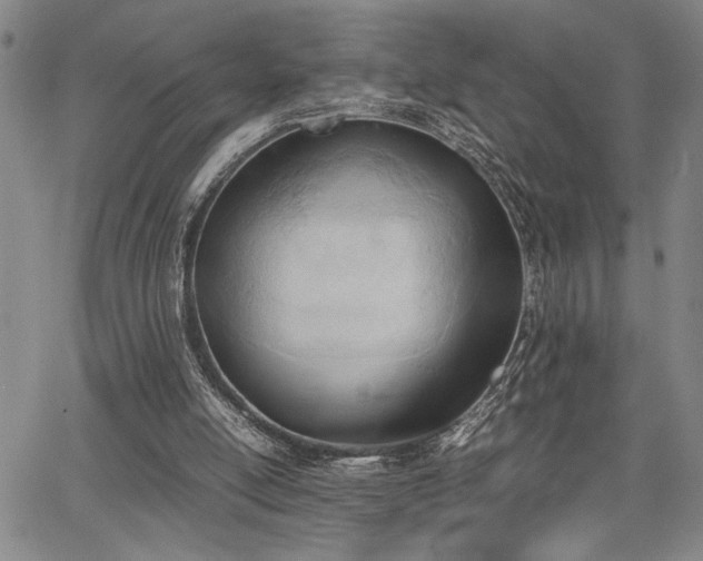 X0000067520054200604071331