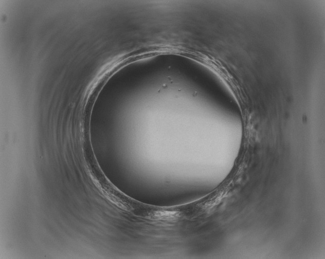 X0000067520055200604071331