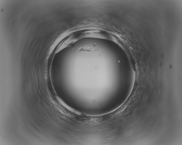 X0000067520056200604071331