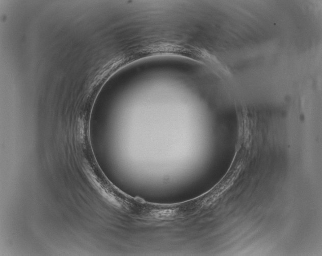 X0000067520057200604071331