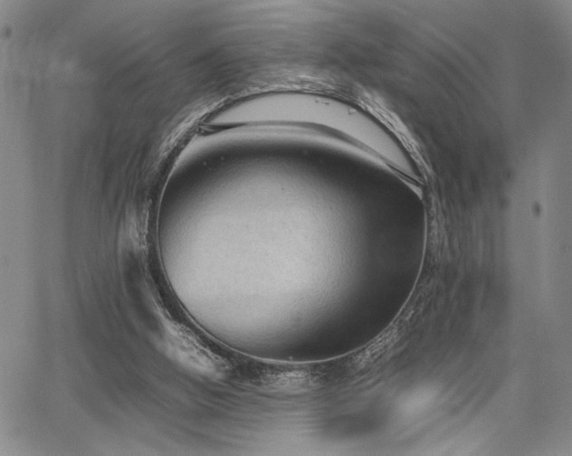 X0000067520058200604071331