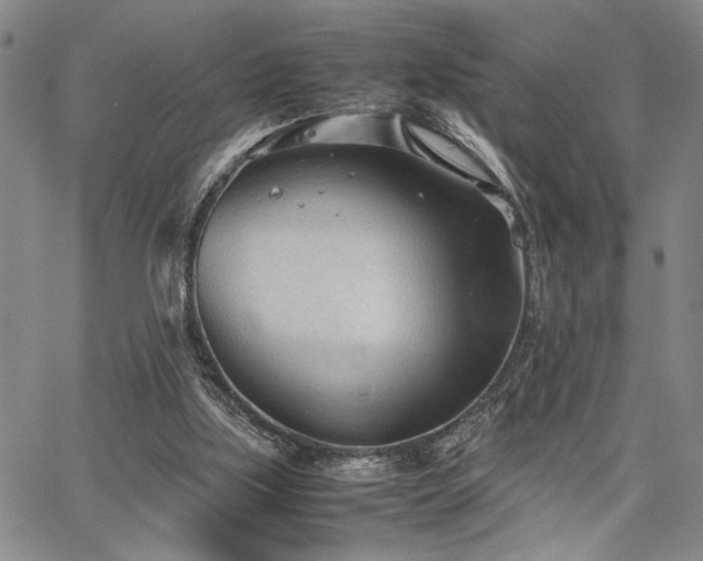 X0000067520059200604071331